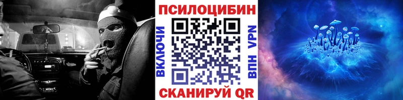 Галлюциногенные грибы Psilocybine cubensis  Артём 